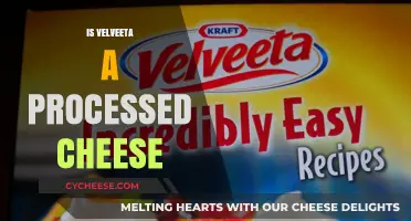 Is Velveeta Processed Cheese? Unraveling the Mystery Behind the Label