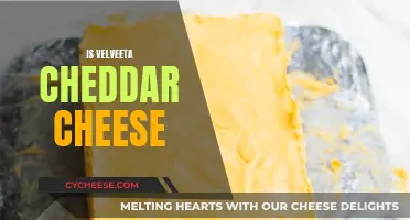 Velveeta: Cheddar Cheese or Not?