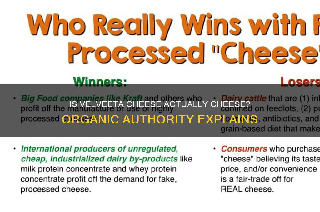 is velveeta cheese actually cheese organic authorityorganic authority