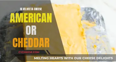 Velveeta vs. Cheddar: Unraveling the American Cheese Mystery