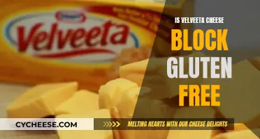 Gluten-Free Velveeta Cheese Block: Is It Safe?