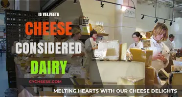 Is Velveeta Cheese Dairy? Unraveling the Ingredients and Classification
