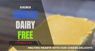 Velveeta Cheese: Is It Dairy-Free?