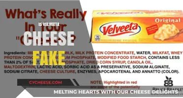 Is Velveeta Real Cheese or a Processed Imitation?