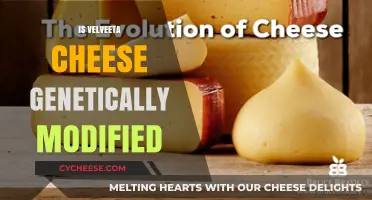 Is Velveeta Cheese Genetically Modified? Unraveling the Truth Behind the Label