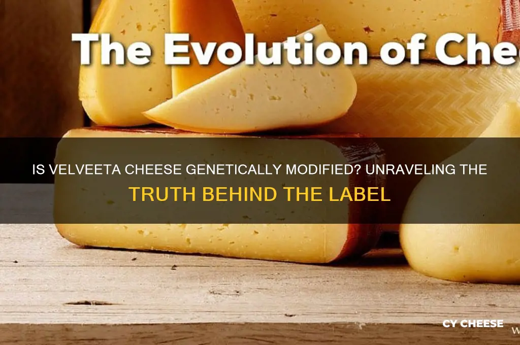is velveeta cheese genetically modified
