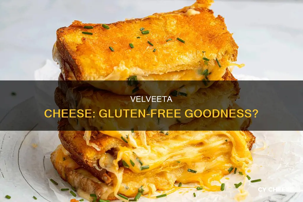 is velveeta cheese gluden free