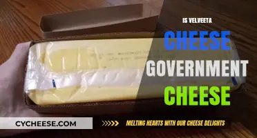 Is Velveeta Government Cheese? Unraveling the Myth and Facts