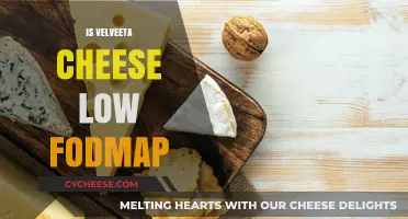 Is Velveeta Cheese Low FODMAP? A Digestive-Friendly Guide