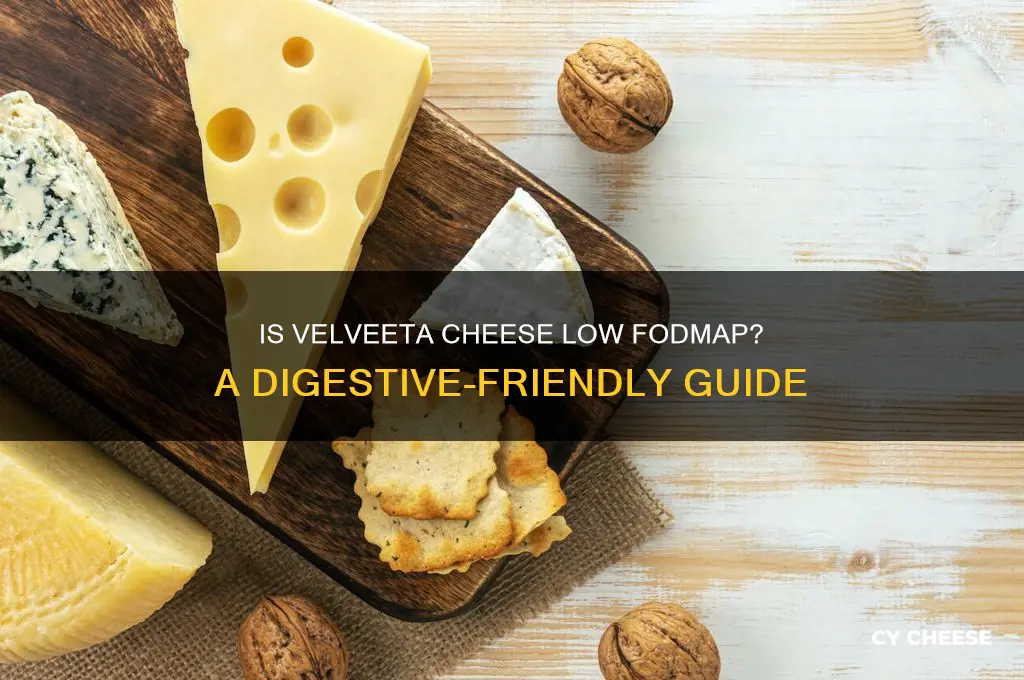 is velveeta cheese low fodmap