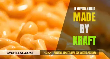 Velveeta Cheese: Kraft's Signature Product Explained