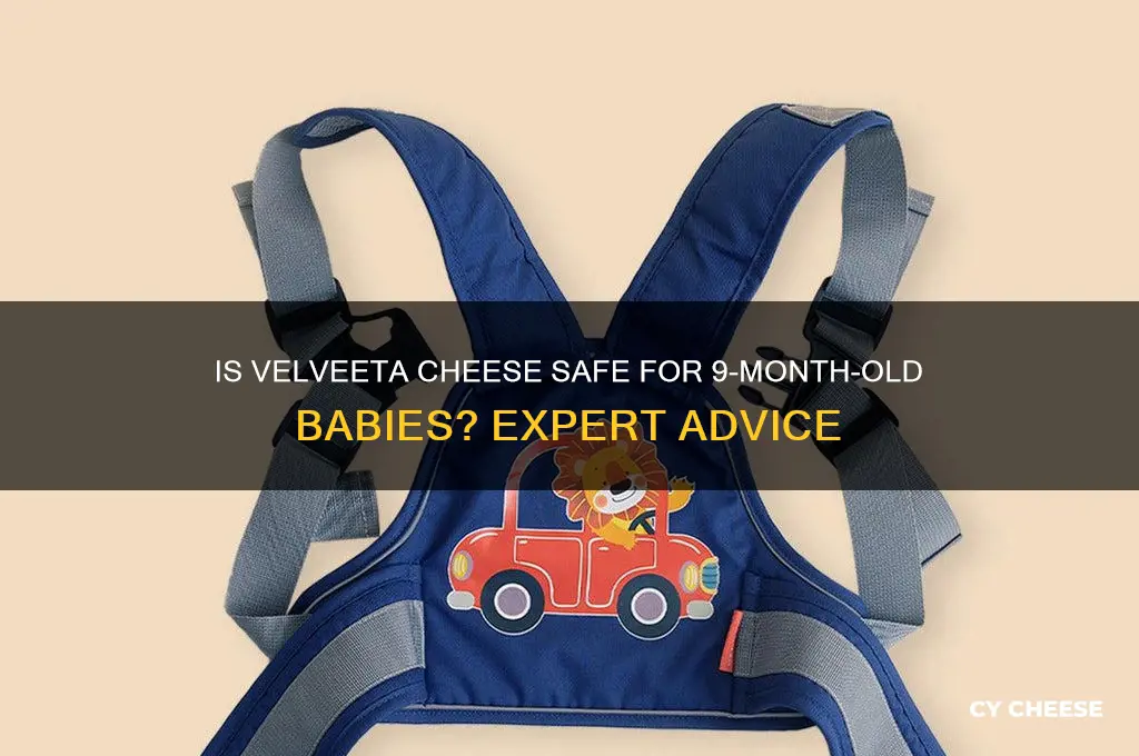 is velveeta cheese ok for 9 month old babies