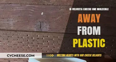 Is Velveeta Cheese Nearly Plastic? Unraveling the Molecular Mystery