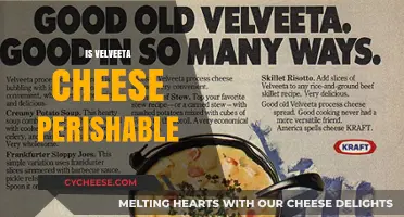 Is Velveeta Cheese Perishable? Shelf Life and Storage Tips