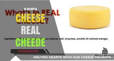 Is Velveeta Real Cheese? Unraveling the Mystery Behind the Label