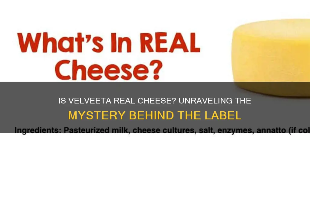 is velveeta cheese real cheede