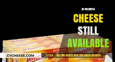 Is Velveeta Cheese Still Available? A 2023 Update