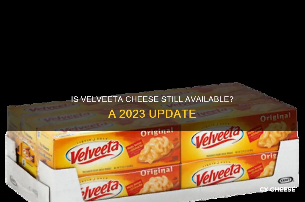 is velveeta cheese still available