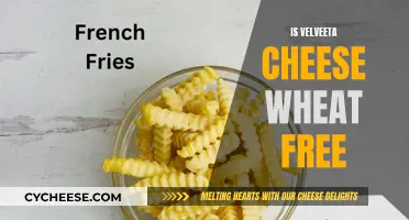 Velveeta Cheese: Wheat-Free and Delicious