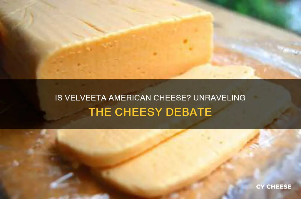 is velveeta considered american cheese