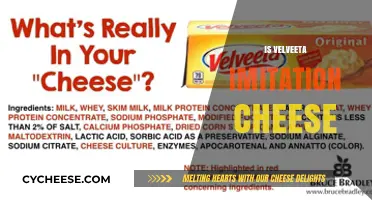 Is Velveeta Real or Imitation Cheese? Unraveling the Mystery