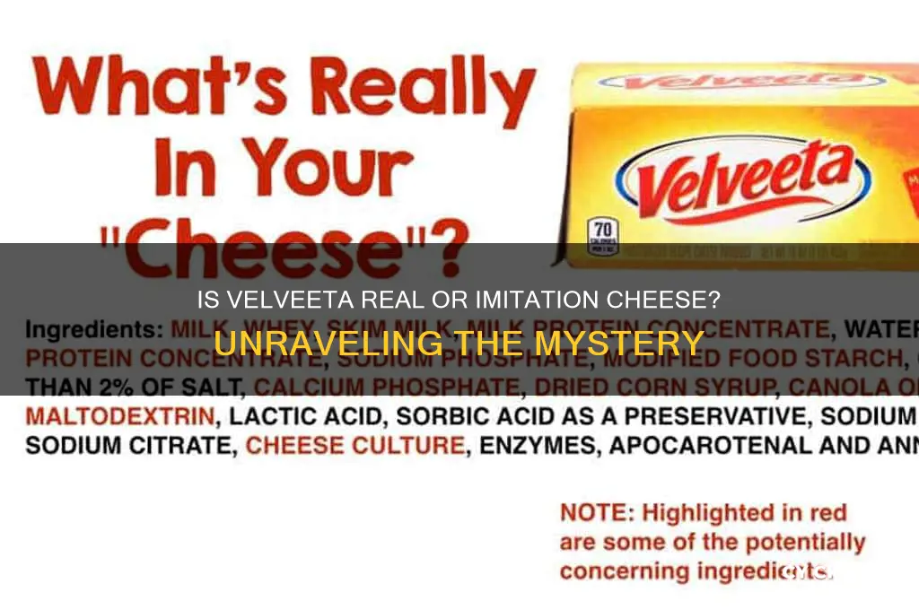 is velveeta imitation cheese