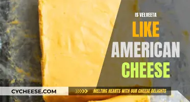 Velveeta and American Cheese: What's the Difference?
