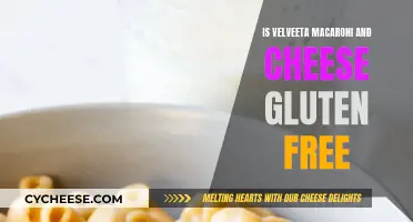 Gluten-Free Velveeta Macaroni: Is It Possible?