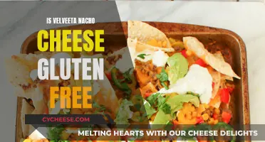 Gluten-Free Velveeta Nacho Cheese: Is It Possible?