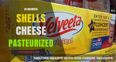 Is Velveeta Shells and Cheese Pasteurized? The Truth Revealed