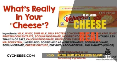 Is Velveeta Real Cheese? Unraveling the Mystery Behind the Label