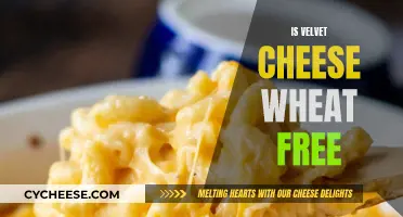 Velvet Cheese: A Wheat-Free Delight?
