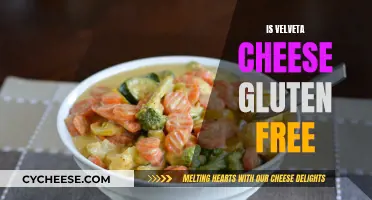 Velveeta Cheese: Is It Gluten-Free?