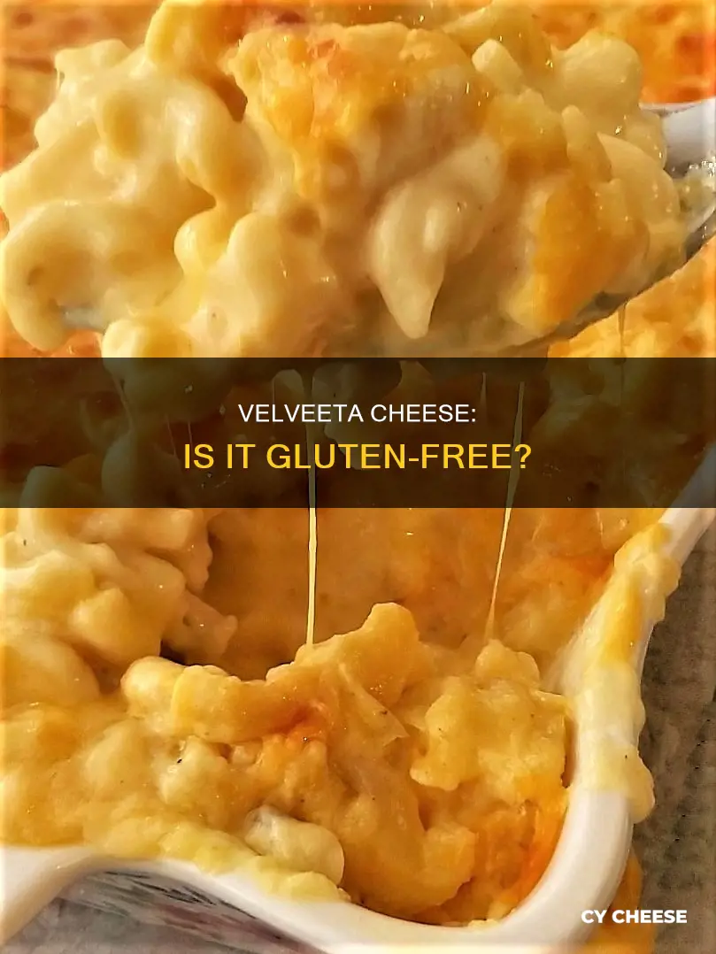 is velveta cheese gluten free