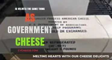 Velveta vs. Government Cheese: Unraveling the Dairy Mystery