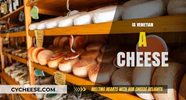 Is Venetian a Cheese? Unraveling the Culinary Confusion