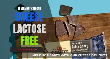 Vermont Cheddar's Lactose Mystery: Unveiling the Dairy Dilemma