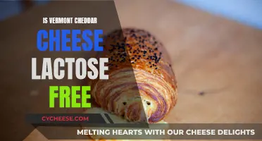 Vermont Cheddar Cheese: Lactose-Free Delicacy or Dairy Disaster?
