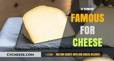 Vermont's Cheese Legacy: A Taste of Its Famous Dairy Tradition