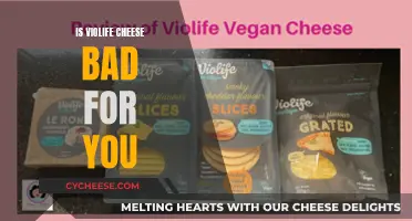 Violife Cheese: Healthy or Harmful?