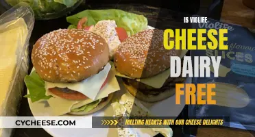 Violife Cheese: Dairy-Free Delights