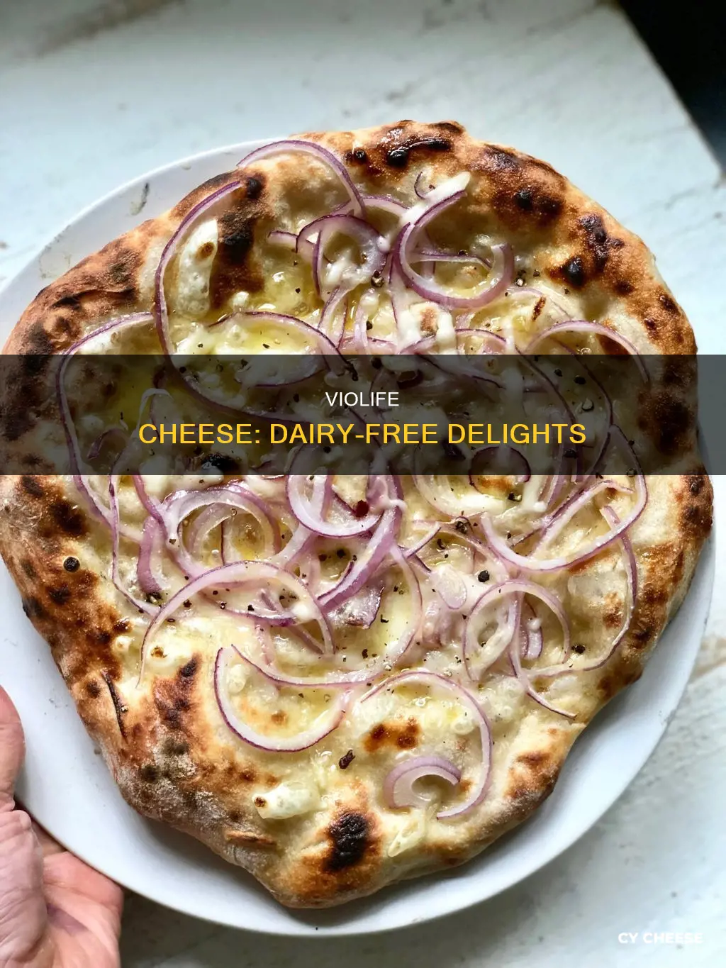 is violife cheese dairy free