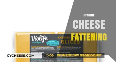 Is Violife Cheese Fattening? Nutrition Facts and Health Impact