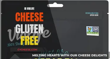 Violife Cheese: Gluten-Free Option for Cheese Lovers