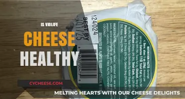 Violife Cheese: Healthy or Not?
