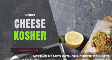 Is Violife Cheese Kosher? Exploring Certification and Dietary Compliance