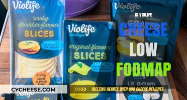 Is Violife Cheese Low FODMAP? A Digestive-Friendly Guide