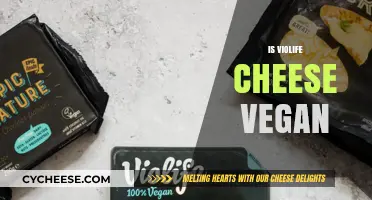 Is Violife Cheese Vegan? Uncovering the Truth About This Dairy-Free Delight