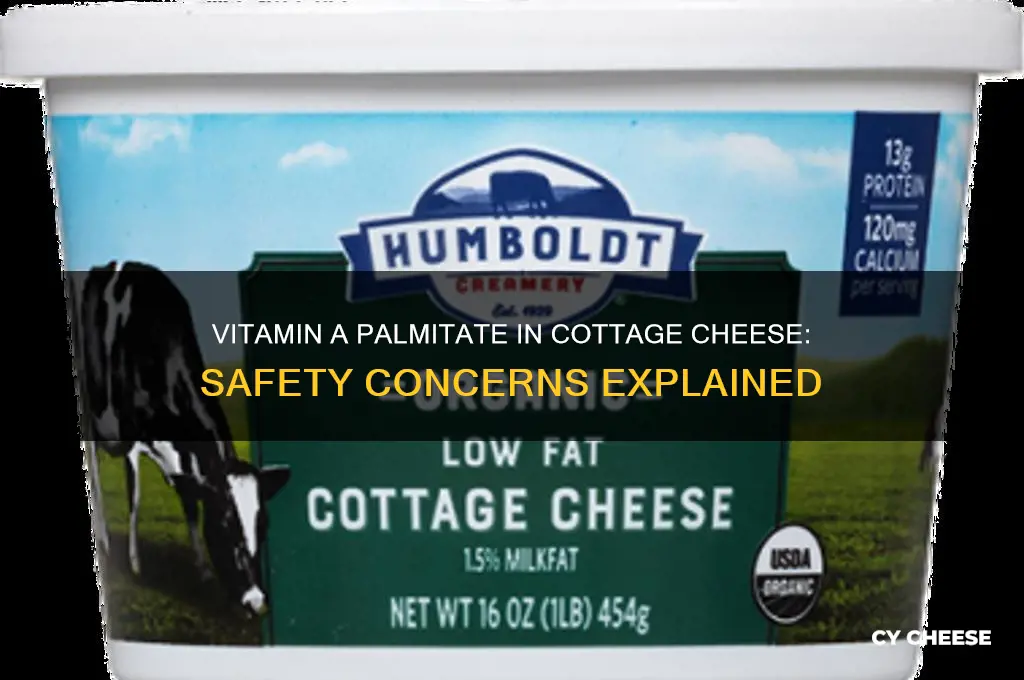 is vitamin a palmitate safe in cottage cheese