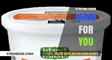 Is Cottage Cheese Healthy? Nutrition Benefits and Potential Drawbacks Explained